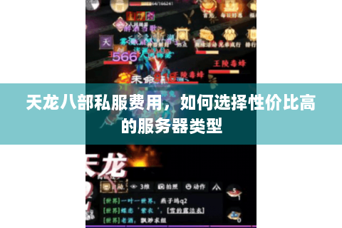 天龙八部私服费用,如何选择性价比高的服务器类型 天龙八部私服费用,如何选择性价比高的服务器类型
