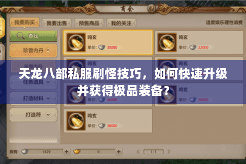 天龙八部私服刷怪技巧，如何快速升级并获得极品装备？