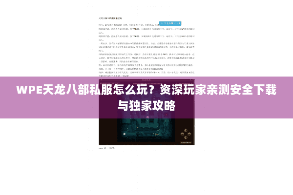 WPE天龙八部私服怎么玩？资深玩家亲测安全下载与独家攻略