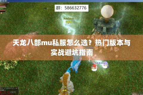 天龙八部mu私服怎么选？热门版本与实战避坑指南