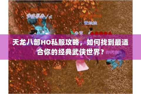 天龙八部HO私服攻略，如何找到最适合你的经典武侠世界？
