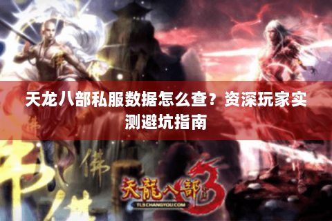 天龙八部私服数据怎么查?资深玩家实测避坑指南 天龙八部私服数据怎么查?资深玩家实测避坑指南