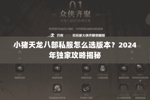 小猪天龙八部私服怎么选版本？2024年独家攻略揭秘