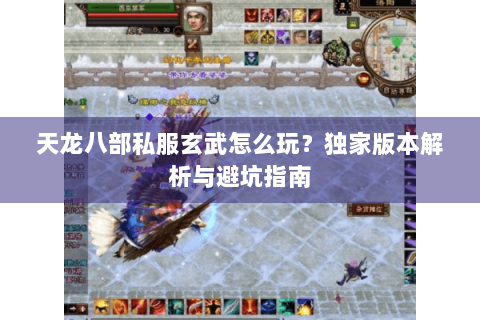 天龙八部私服玄武怎么玩?独家版本解析与避坑指南 天龙八部私服玄武怎么玩?独家版本解析与避坑指南