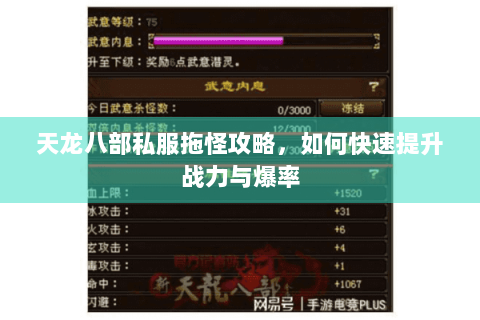 天龙八部私服拖怪攻略，如何快速提升战力与爆率