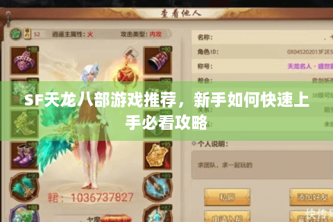 SF天龙八部游戏推荐，新手如何快速上手必看攻略