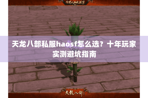 天龙八部私服haosf怎么选？十年玩家实测避坑指南
