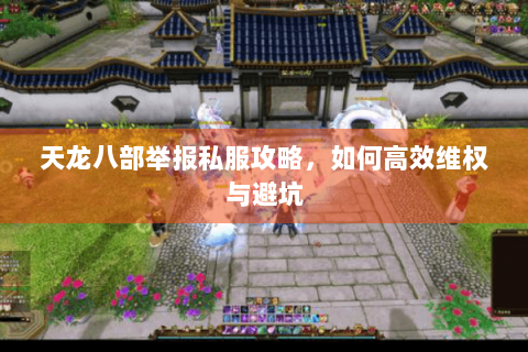 天龙八部举报私服攻略，如何高效维权与避坑