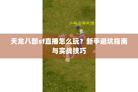 天龙八部sf直播怎么玩？新手避坑指南与实战技巧