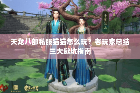 天龙八部私服猫猫怎么玩?老玩家总结三大避坑指南 天龙八部私服猫猫怎么玩?老玩家总结三大避坑指南