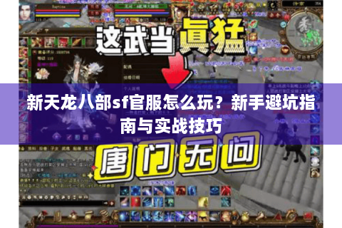新天龙八部sf官服怎么玩？新手避坑指南与实战技巧