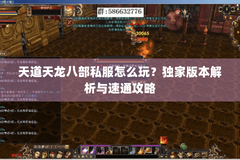 天道天龙八部私服怎么玩？独家版本解析与速通攻略