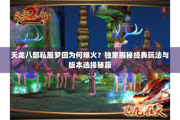 天龙八部私服梦回为何爆火？独家揭秘经典玩法与版本选择秘籍