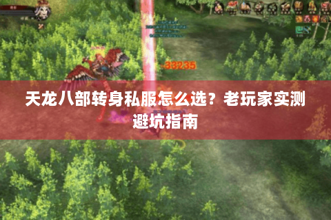 天龙八部转身私服怎么选？老玩家实测避坑指南