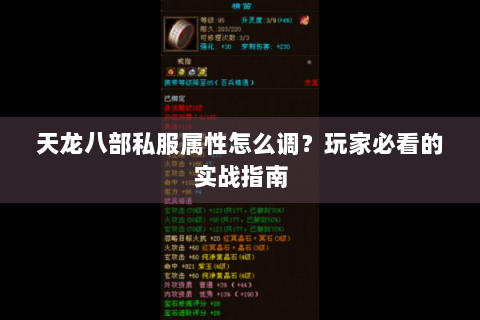 天龙八部私服属性怎么调?玩家必看的实战指南 天龙八部私服属性怎么调?玩家必看的实战指南