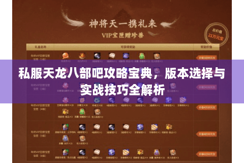 私服天龙八部吧攻略宝典，版本选择与实战技巧全解析