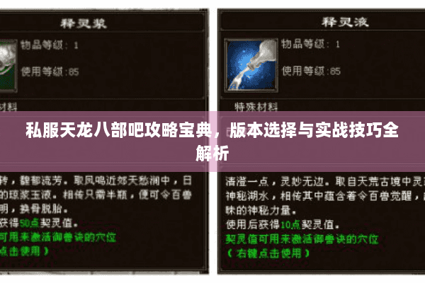 私服天龙八部吧攻略宝典，版本选择与实战技巧全解析