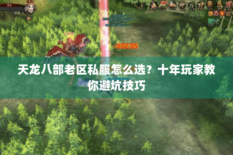 天龙八部老区私服怎么选？十年玩家教你避坑技巧