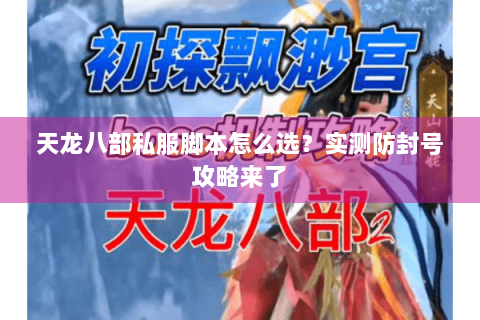 天龙八部私服脚本怎么选？实测防封号攻略来了