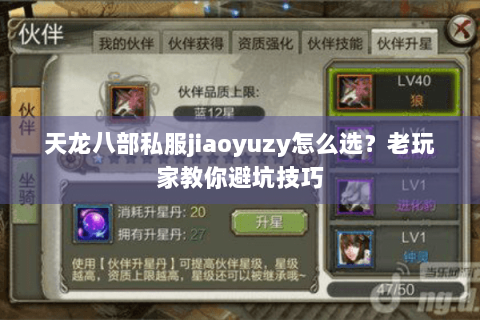 天龙八部私服jiaoyuzy怎么选？老玩家教你避坑技巧