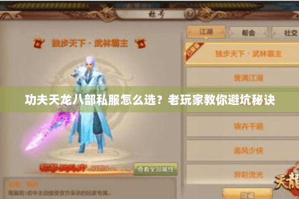 功夫天龙八部私服怎么选？老玩家教你避坑秘诀