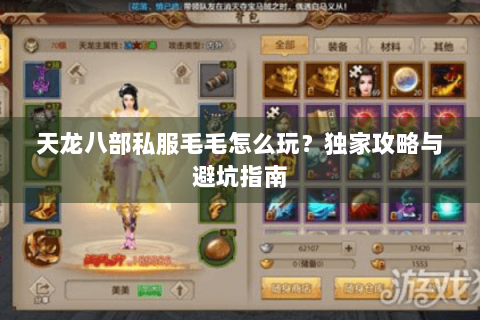 天龙八部私服毛毛怎么玩？独家攻略与避坑指南