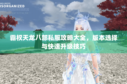 霸权天龙八部私服攻略大全，版本选择与快速升级技巧