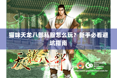 猫咪天龙八部私服怎么玩?新手必看避坑指南 猫咪天龙八部私服怎么玩?新手必看避坑指南