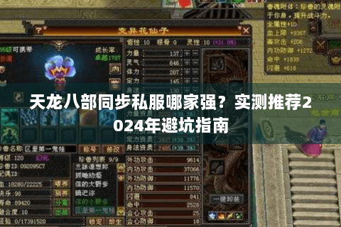 天龙八部同步私服哪家强？实测推荐2024年避坑指南