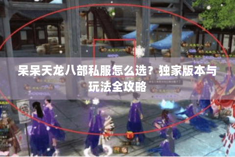 呆呆天龙八部私服怎么选?独家版本与玩法全攻略 呆呆天龙八部私服怎么选?独家版本与玩法全攻略