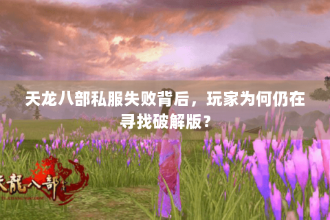 天龙八部私服失败背后,玩家为何仍在寻找破解版? 天龙八部私服失败背后,玩家为何仍在寻找破解版?