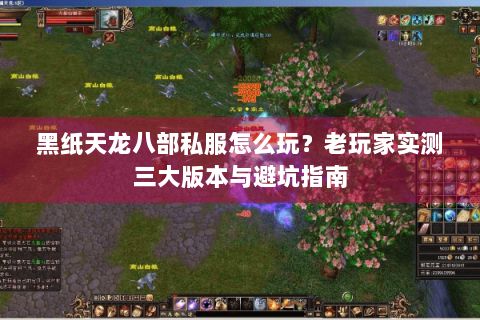 黑纸天龙八部私服怎么玩？老玩家实测三大版本与避坑指南