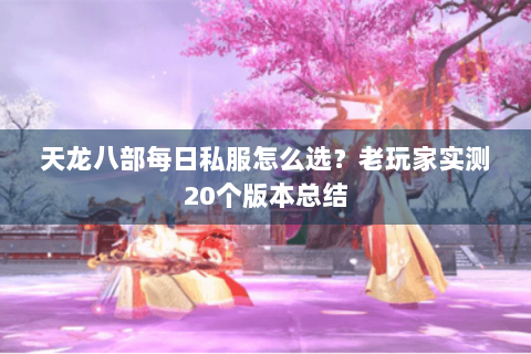 天龙八部每日私服怎么选?老玩家实测20个版本总结 天龙八部每日私服怎么选?老玩家实测20个版本总结