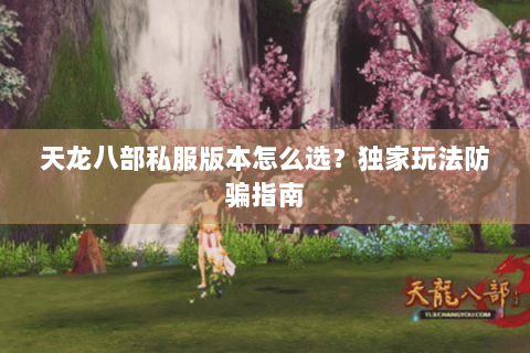天龙八部私服版本怎么选？独家玩法防骗指南
