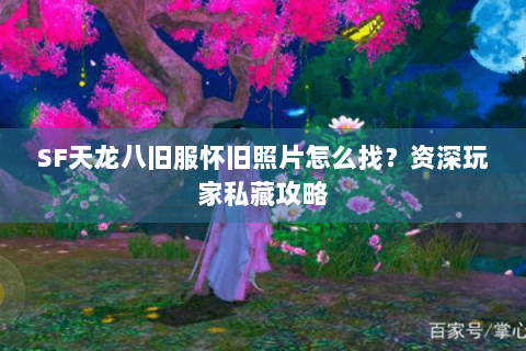 SF天龙八旧服怀旧照片怎么找?资深玩家私藏攻略 SF天龙八旧服怀旧照片怎么找?资深玩家私藏攻略