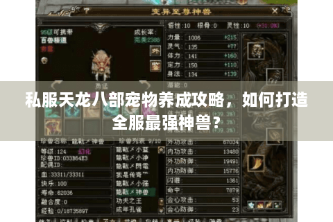 私服天龙八部宠物养成攻略,如何打造全服最强神兽? 私服天龙八部宠物养成攻略,如何打造全服最强神兽?