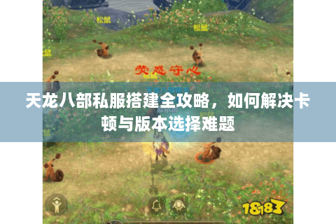 天龙八部私服搭建全攻略，如何解决卡顿与版本选择难题