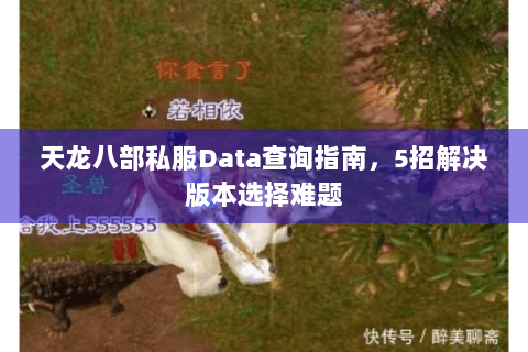 天龙八部私服Data查询指南，5招解决版本选择难题