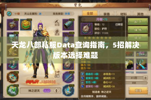 天龙八部私服Data查询指南，5招解决版本选择难题