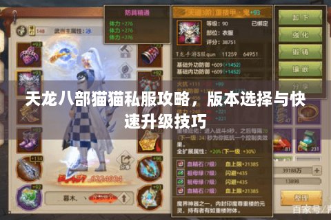 天龙八部猫猫私服攻略，版本选择与快速升级技巧