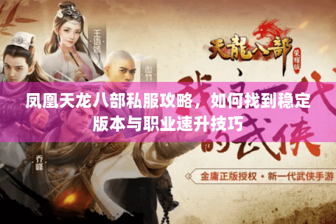 凤凰天龙八部私服攻略，如何找到稳定版本与职业速升技巧