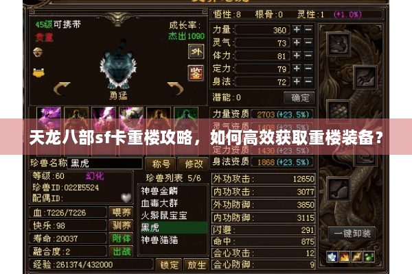 天龙八部sf卡重楼攻略，如何高效获取重楼装备？