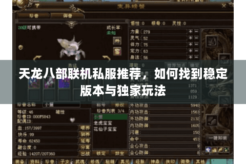 天龙八部联机私服推荐,如何找到稳定版本与独家玩法 天龙八部联机私服推荐,如何找到稳定版本与独家玩法