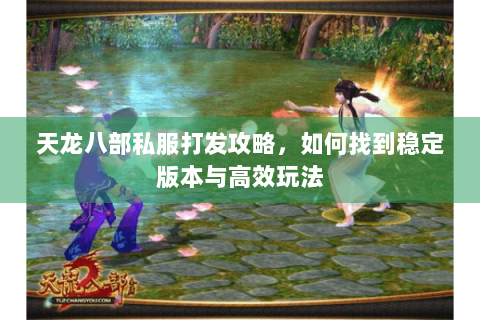 天龙八部私服打发攻略，如何找到稳定版本与高效玩法