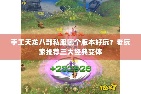 手工天龙八部私服哪个版本好玩?老玩家推荐三大经典变体 手工天龙八部私服哪个版本好玩?老玩家推荐三大经典变体