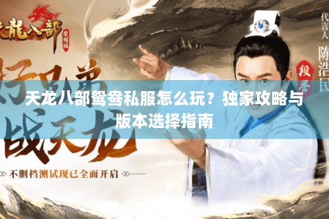 天龙八部鸳鸯私服怎么玩？独家攻略与版本选择指南