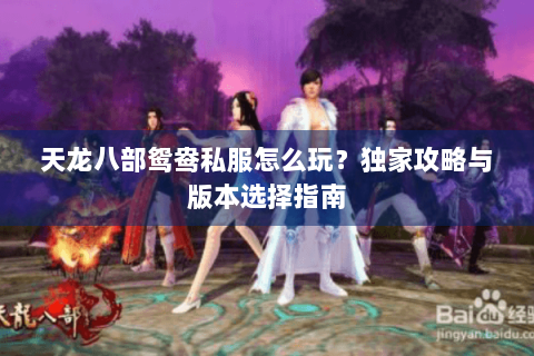 天龙八部鸳鸯私服怎么玩？独家攻略与版本选择指南
