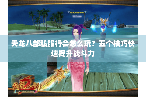 天龙八部私服行会怎么玩?五个技巧快速提升战斗力 天龙八部私服行会怎么玩?五个技巧快速提升战斗力