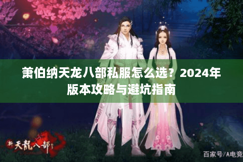 萧伯纳天龙八部私服怎么选？2024年版本攻略与避坑指南