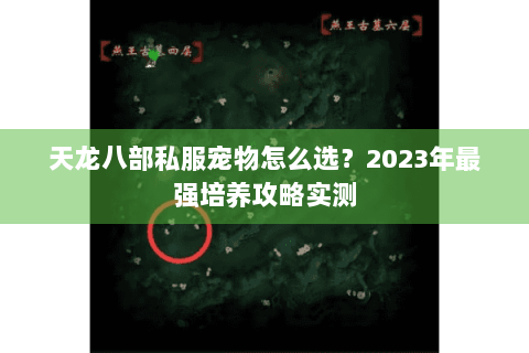 天龙八部私服宠物怎么选?2023年最强培养攻略实测 天龙八部私服宠物怎么选?2023年最强培养攻略实测
